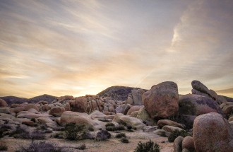 outdoor-story-joshua-tree-10