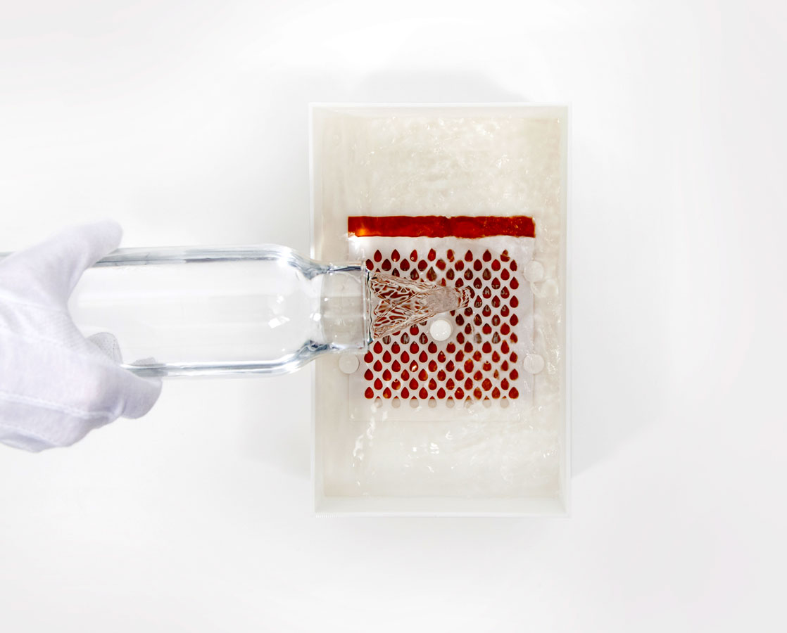 the-drinkable-book-5