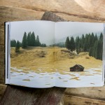 beaver-brook-cabin-porn-book-7
