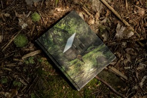 beaver-brook-cabin-porn-book-9