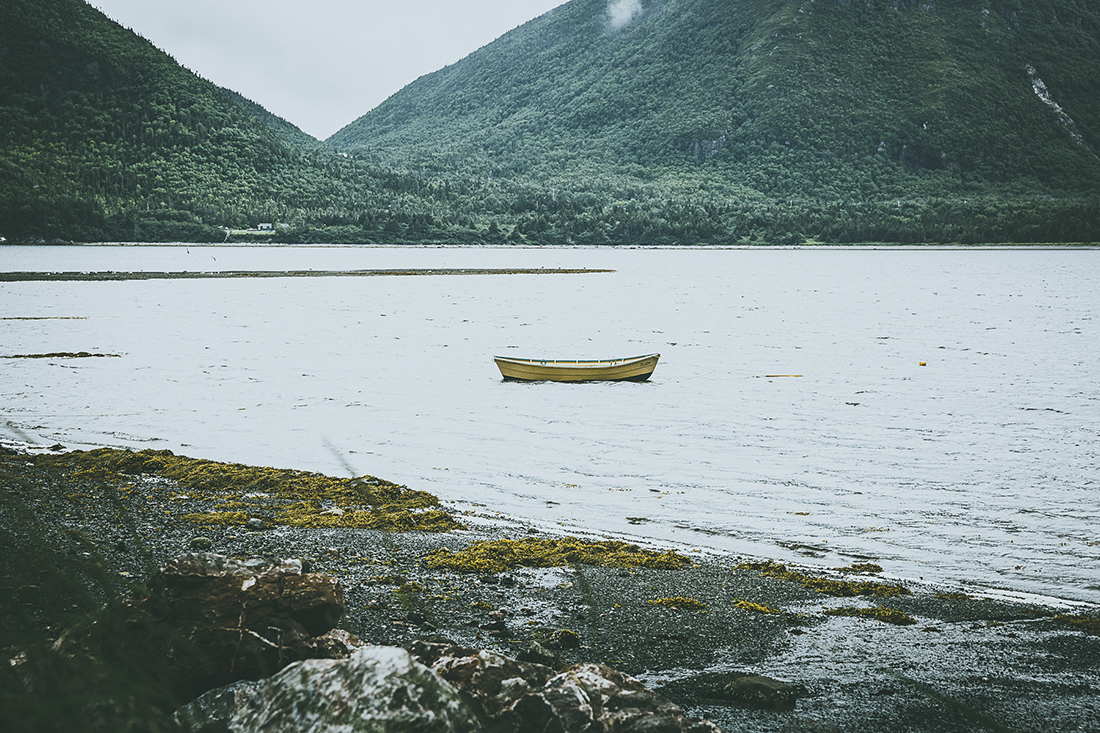 newfoundland-nate-luke-01