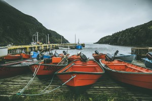 newfoundland-nate-luke-06