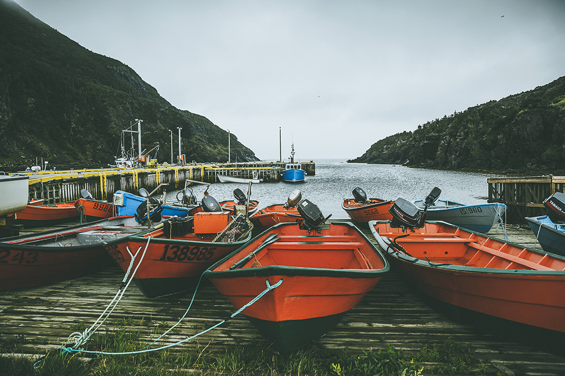 newfoundland-nate-luke-06