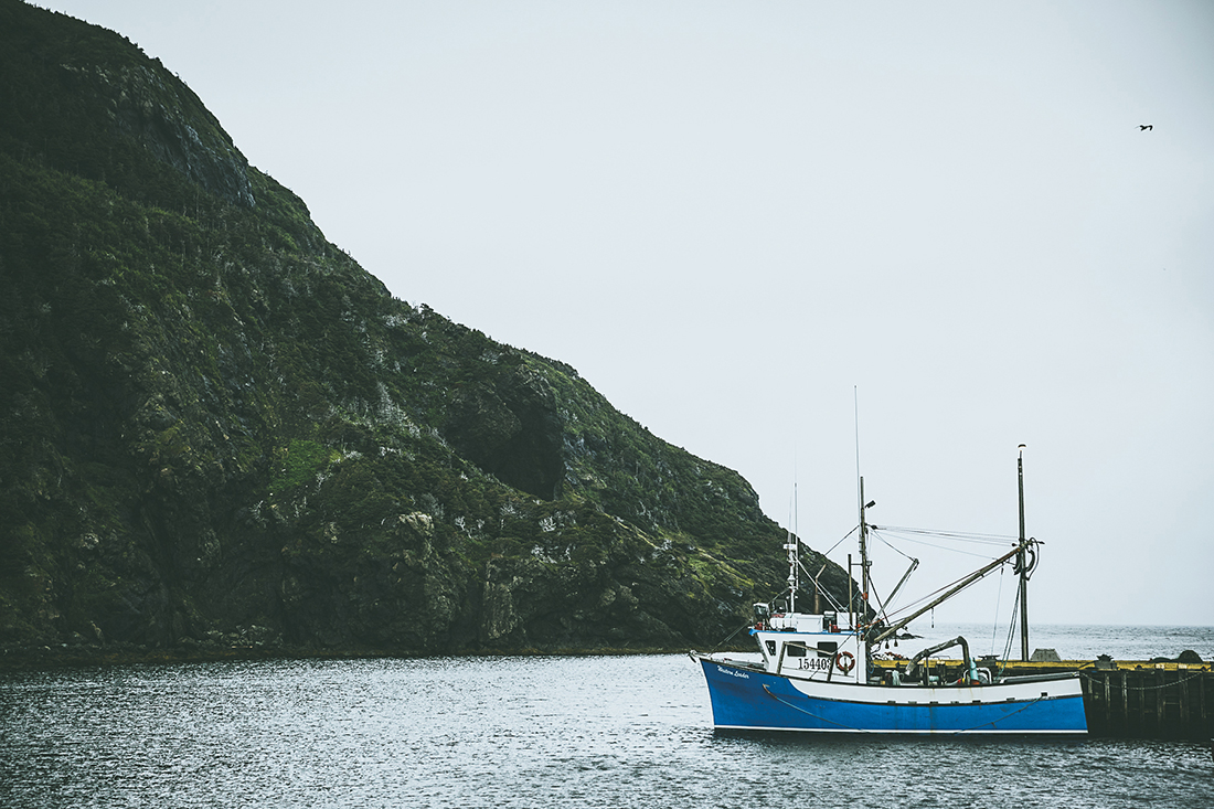 newfoundland-nate-luke-09