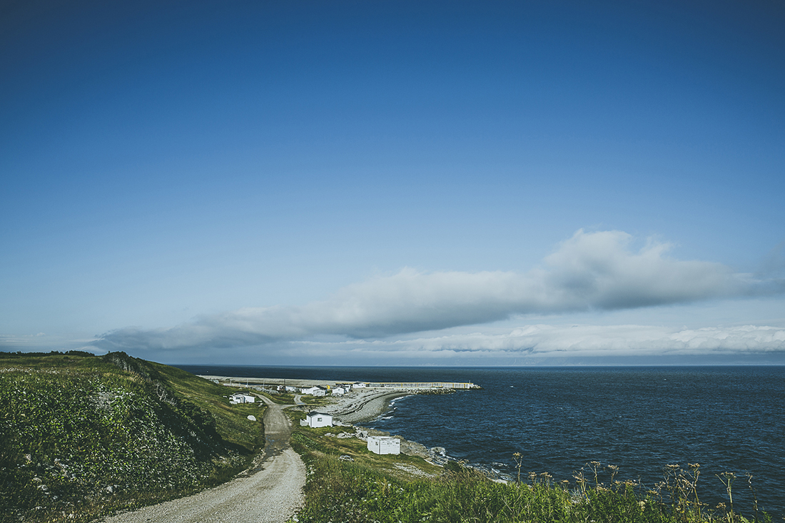 newfoundland-nate-luke-13