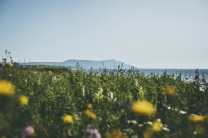 newfoundland-nate-luke-15