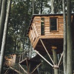 Robins Nest Tree house hotel