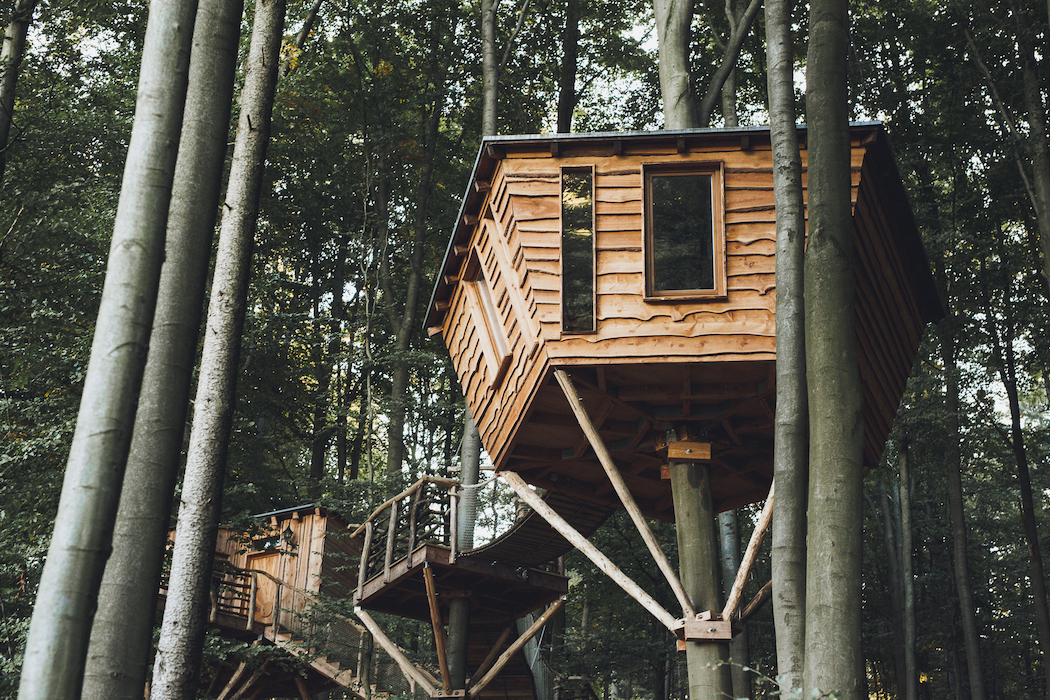 Robins Nest Tree house hotel