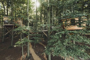 treehouse-hotels-robins-nest-04