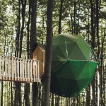 treehouse-hotels-robins-nest-07