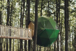 treehouse-hotels-robins-nest-07