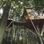treehouse-hotels-robins-nest-10