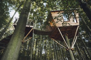 treehouse-hotels-robins-nest-10