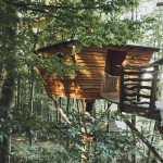 treehouse-hotels-robins-nest-12
