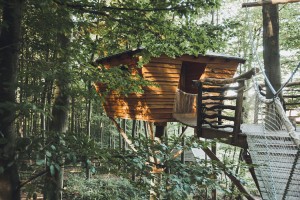treehouse-hotels-robins-nest-12