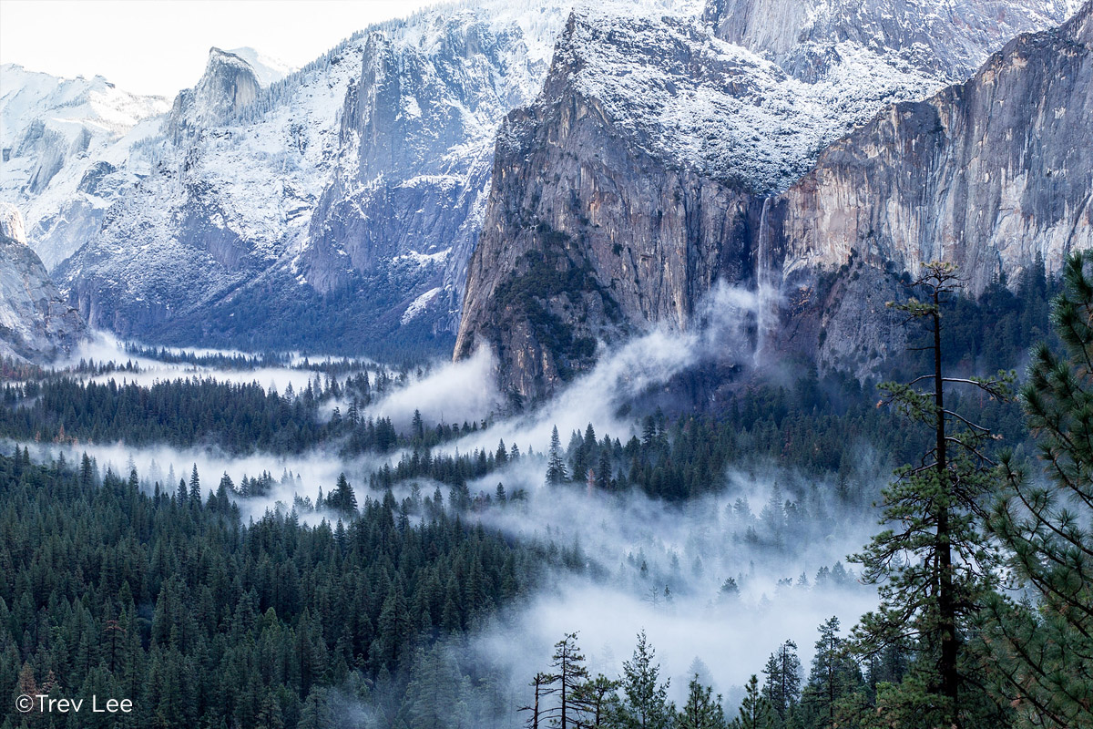 wilderness-culture-print-shop-09