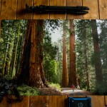 wilderness-culture-print-shop-11