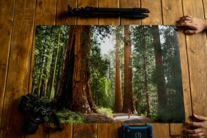 wilderness-culture-print-shop-11