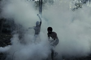 Tribe - trust in tribe