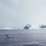 Poler Stuff Adventure #114 Antartica