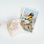 Adventure Supply Co. Vintage Birds Postcards