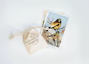 Adventure Supply Co. Vintage Birds Postcards