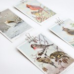 Adventure Supply Co. Vintage Birds Postcards