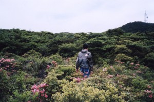 And Wander lookbook ss16