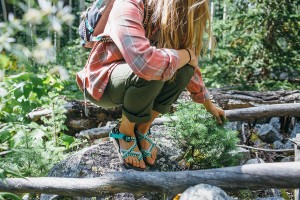 Topo Designs Chaco collaboration