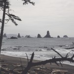 Peak Performance Redefined SS16