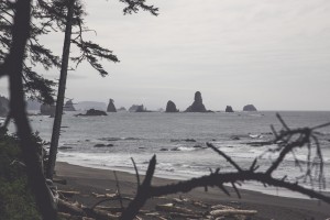 Peak Performance Redefined SS16