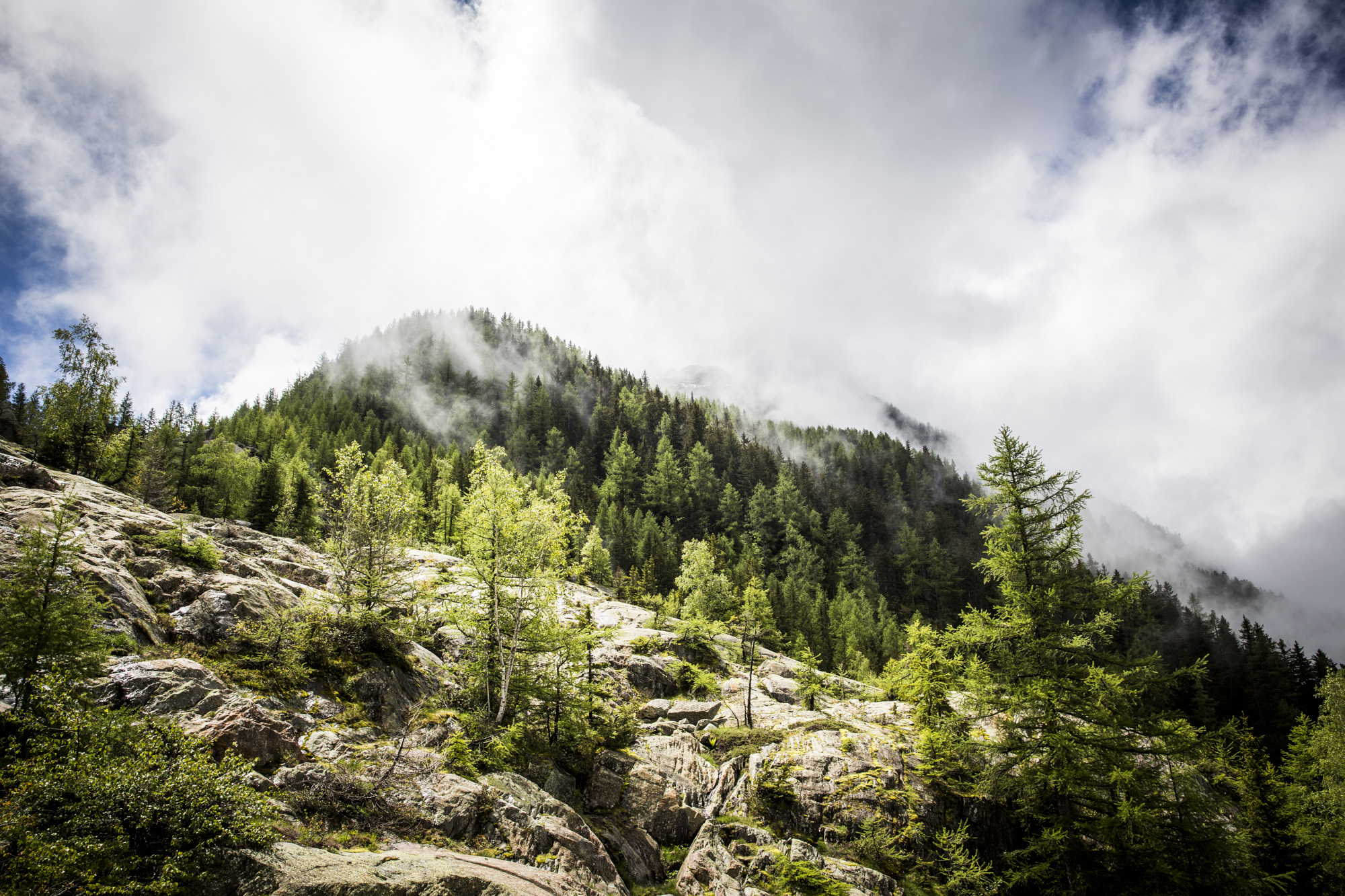 arcteryx alpine academy