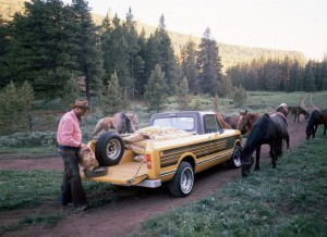 international harvester scout