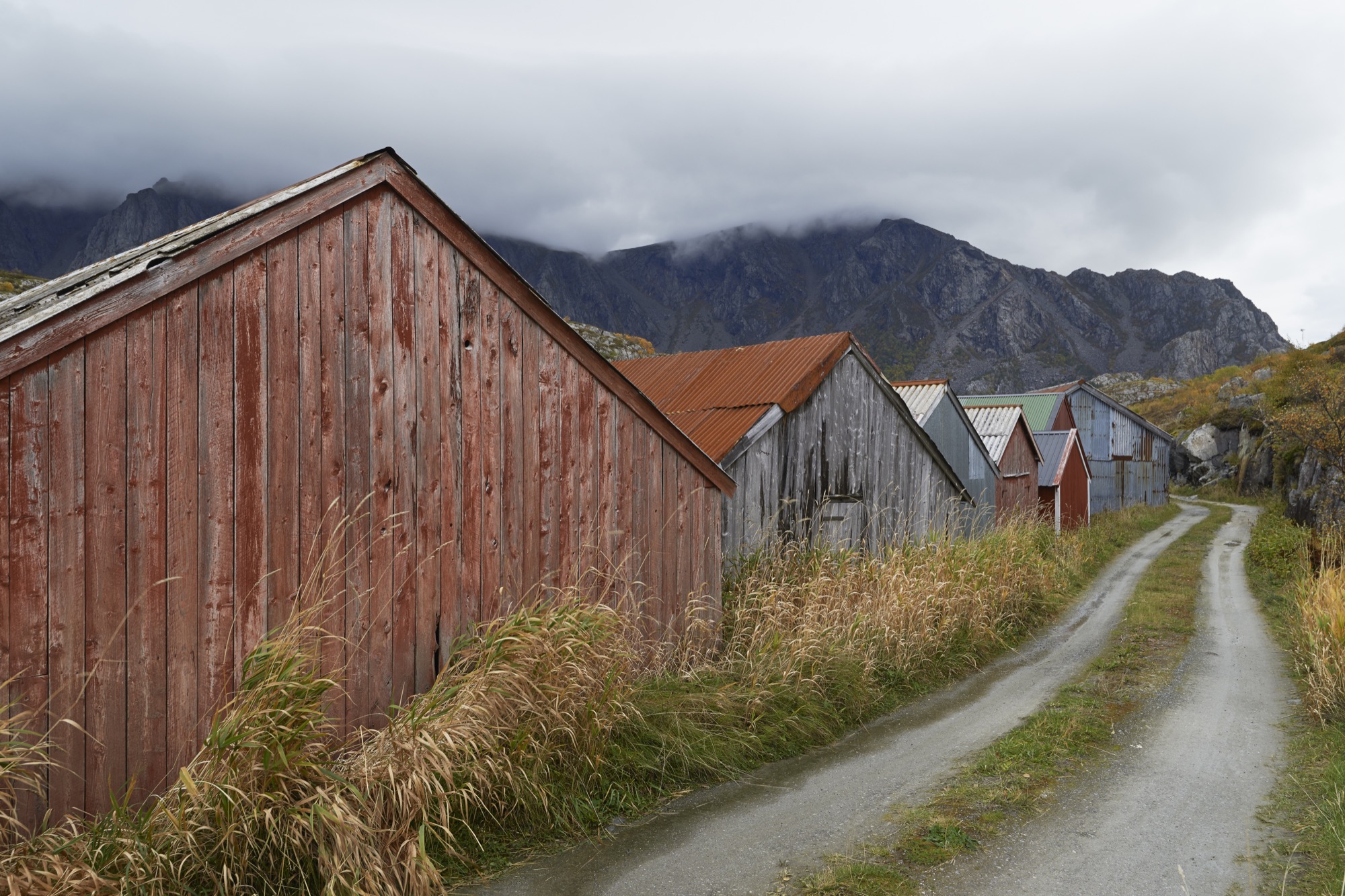 Vega Norge, Erik Kolman Janouch