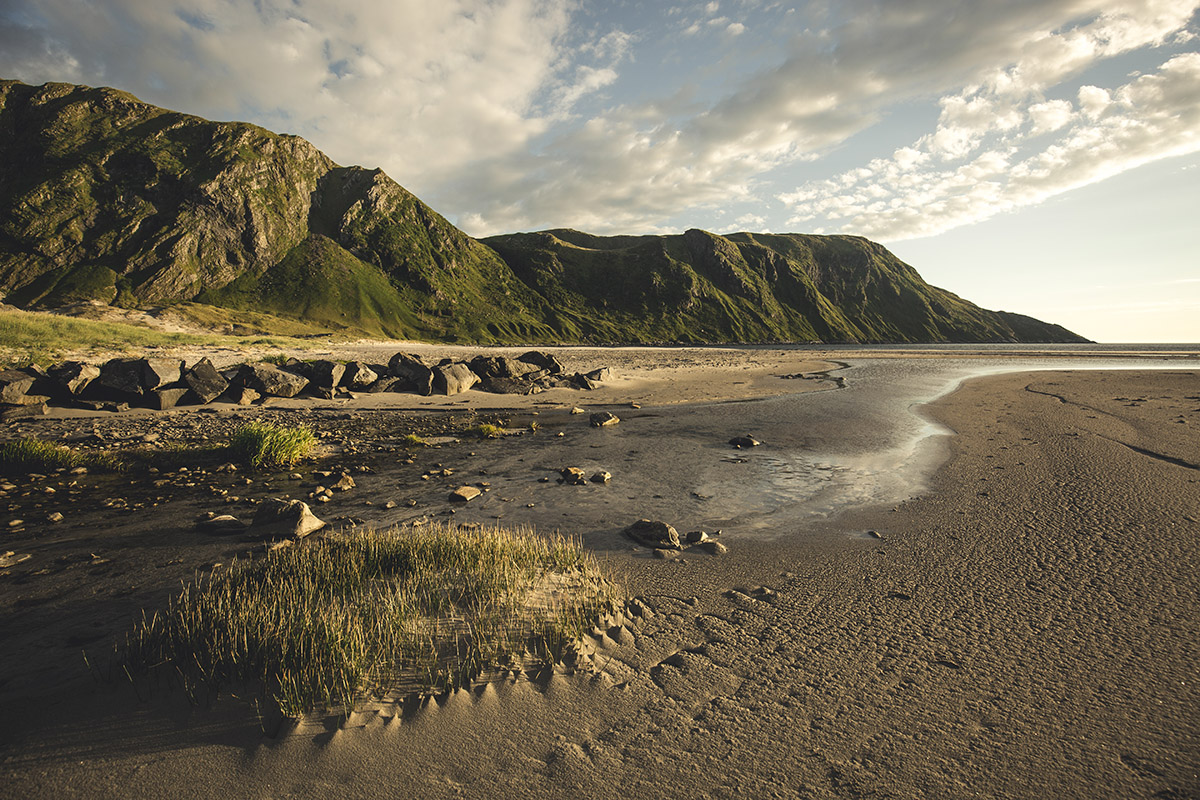 heimplanet german roamers norway