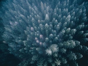 airpixels-tobias-hagg-09