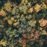 airpixels-tobias-hagg-10