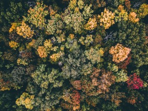 airpixels-tobias-hagg-10