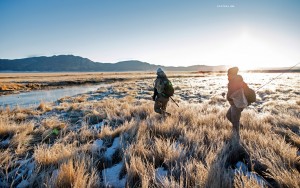 gestalten the fly fisher