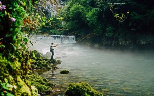 gestalten the fly fisher