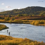 gestalten the fly fisher