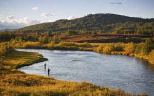 gestalten the fly fisher